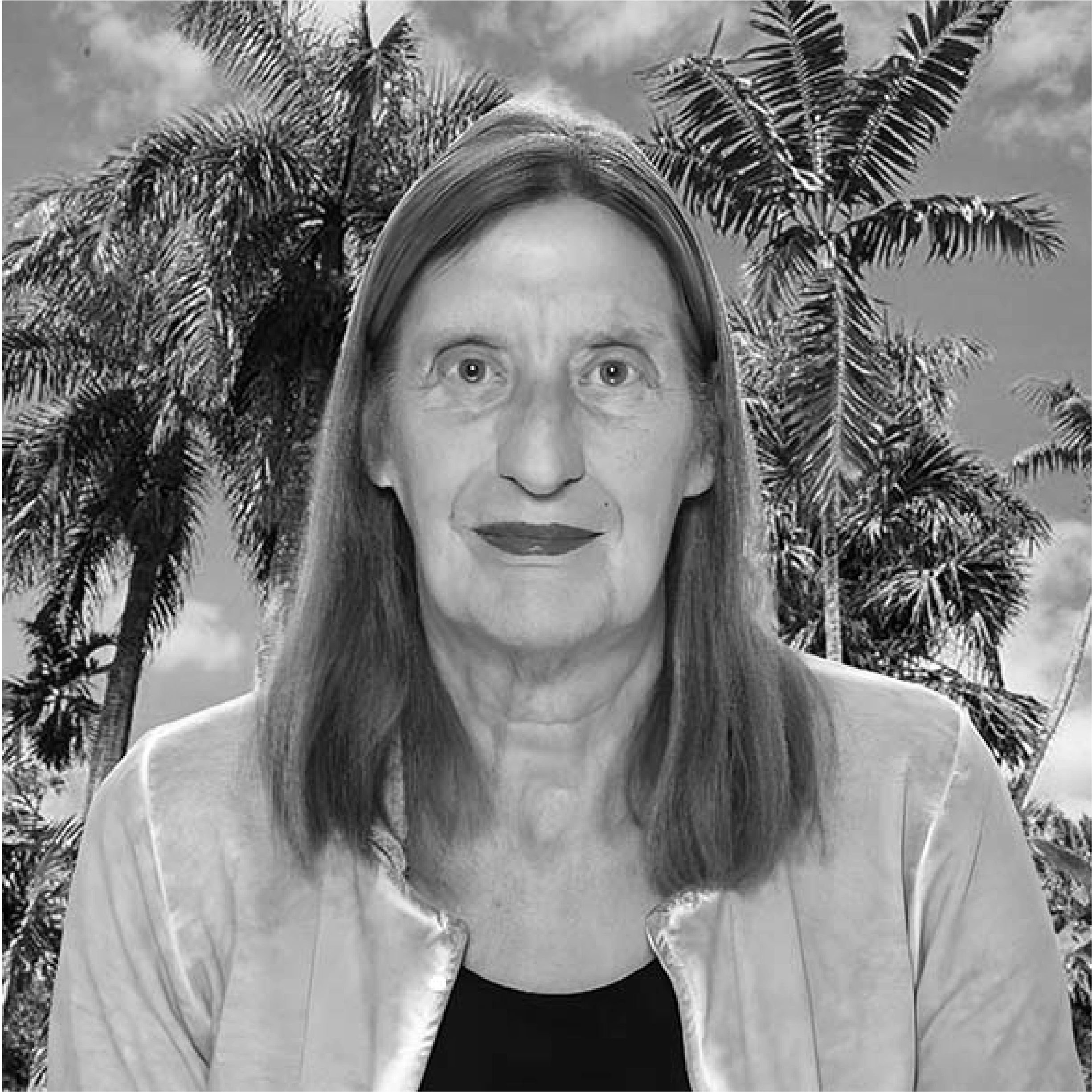 rita 2025 dr
